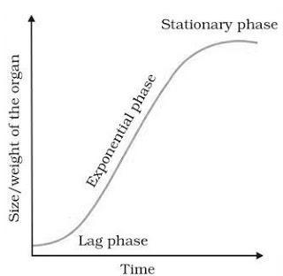 Sigmoid curve Graph NCERT Solutions for 11th Class Biology: Chapter 15-Plant Growth and Development Que. 3