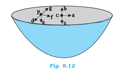 NCERT Solutions for 11th Class Physics: Chapter 8-Gravitation Ex. 8.10