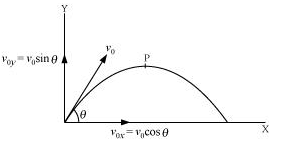 NCERT Solutions for 11th Class Physics:Chapter 4-Motion In A Plane Que. 4.31