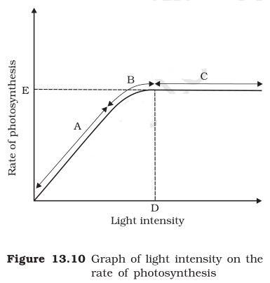 NCERT Solutions for 11th Class Biology: Chapter 13-Photosynthesis in Higher Plants Que. 8
