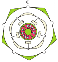 Floral Diagram of Solanum nigrum NCERT Solutions for 11th Class Biology: Chapter 5-Morphology of Flowering Plants Que. 9