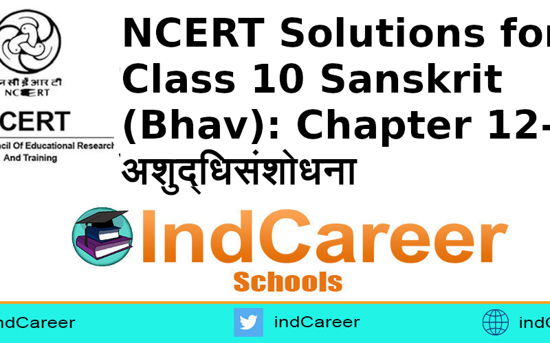 NCERT Solutions for Class 10 Sanskrit (Bhav): Chapter 12-अशुद्धिसंशोधना