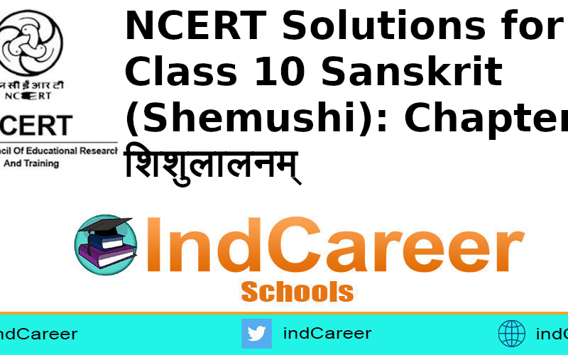 NCERT Solutions for Class 10 Sanskrit (Shemushi): Chapter 4-शिशुलालनम्