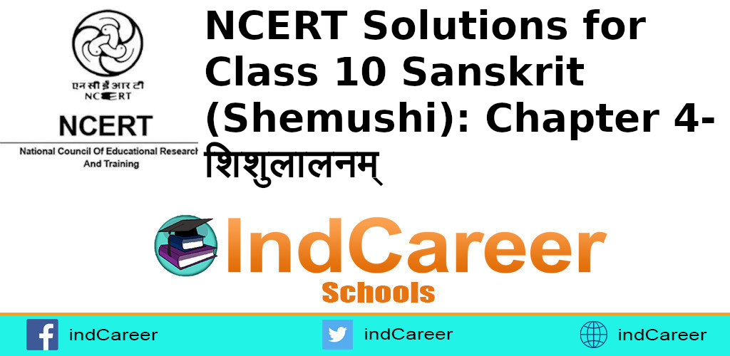 NCERT Solutions for Class 10 Sanskrit (Shemushi): Chapter 4-शिशुलालनम्