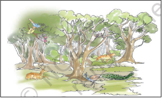 NCERT Solutions for 8th Class Sanskrit: Chapter 13-क्षितौराजते भारतस्वर्ण भूमि Que. 7