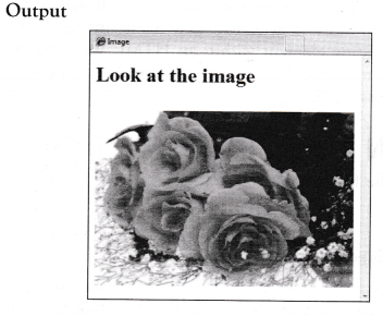 NCERT Solutions for 10th Class Foundation of Information Technology – Inserting Images and Links in HTML