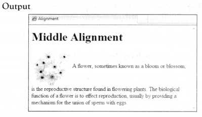 NCERT Solutions for 10th Class Foundation of Information Technology – Inserting Images and Links in HTML