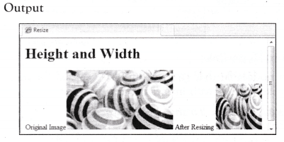 NCERT Solutions for 10th Class Foundation of Information Technology – Inserting Images and Links in HTML
