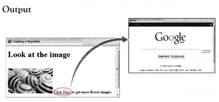 NCERT Solutions for 10th Class Foundation of Information Technology – Inserting Images and Links in HTML
