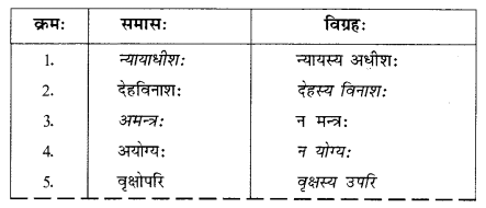 NCERT Solutions for Sanskrit (Bhav): Chapter 7-समासा: