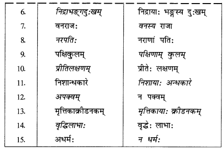 NCERT Solutions for Sanskrit (Bhav): Chapter 7-समासा: