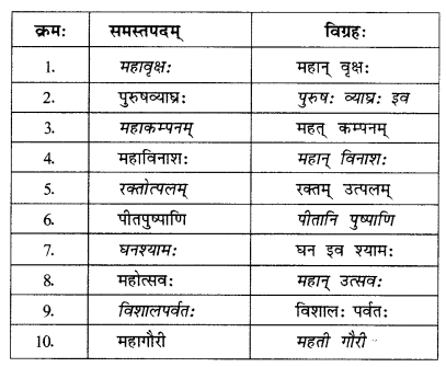 NCERT Solutions for Sanskrit (Bhav): Chapter 7-समासा: