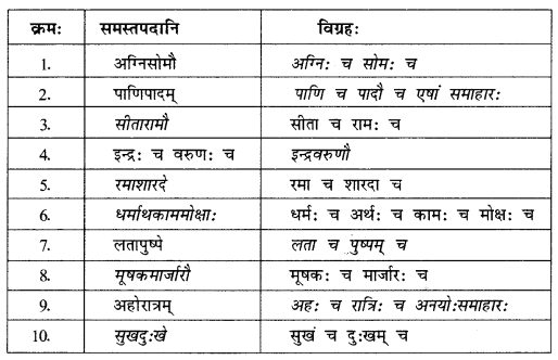 NCERT Solutions for Class 10 Sanskrit (Bhav): Chapter 7-समासा: