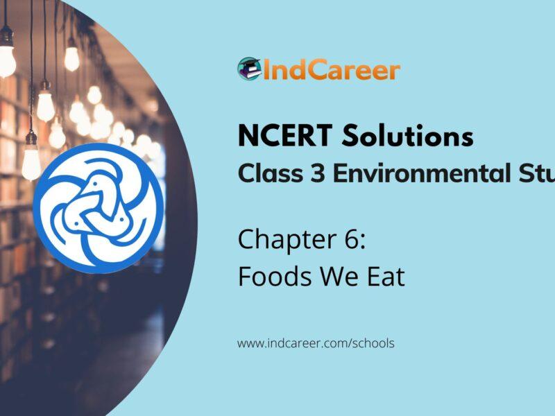 NCERT Solutions for 3rd Class Environmental Studies: Chapter 6-Foods We Eat