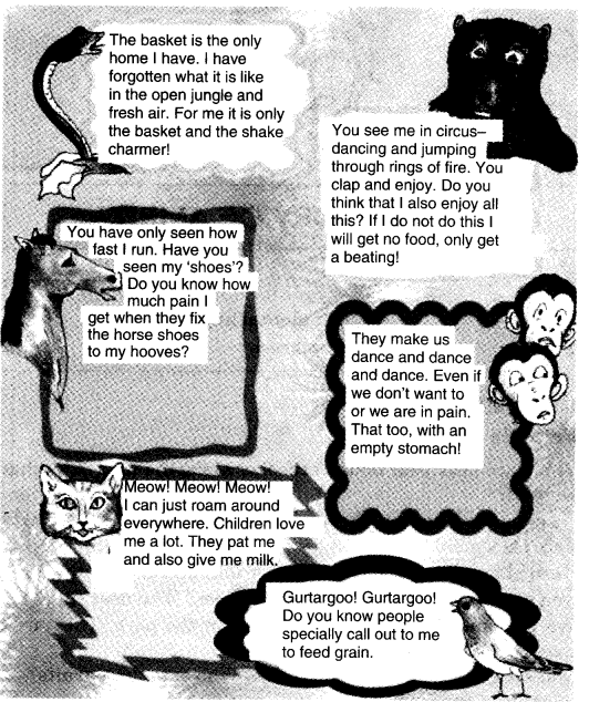 NCERT Solutions for 4th Class Environmental Studies Chapter 3-A Day With Nandu