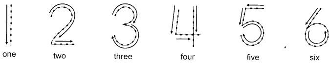 NCERT Solutions for English (Poem): Chapter 1-A Happy Child
Let’s Draw
Question 4