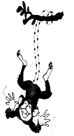 NCERT Solutions for English (Poem): Chapter 1-A Happy Child
Let’s Draw
Question 9