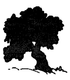 NCERT Solutions for English (Poem): Chapter 1-A Happy Child
Let’s Talk
Question 1