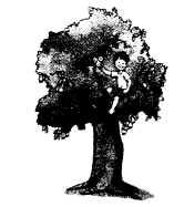 NCERT Solutions for English (Poem): Chapter 6-If I Were an Apple
Reading is Fun
Question 1