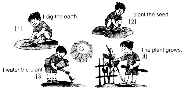 NCERT Solutions for English (Poem): Chapter 7-Our Tree
Let’s Do
Question 1