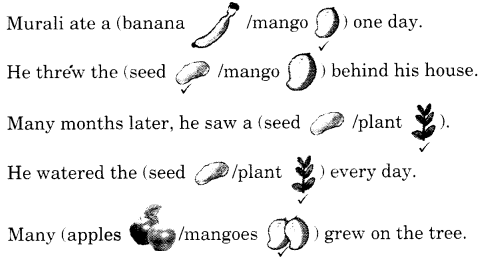 NCERT Solutions for English: Chapter 6-Murali’s Mango Tree
Question 1
