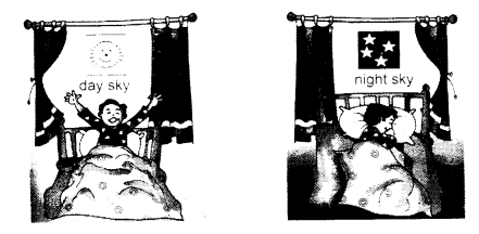 NCERT Solutions for English (Poem): Chapter 8-A Kite
Let’s Share
Question 4