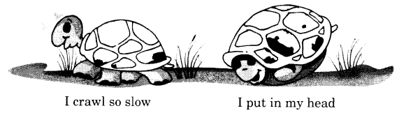 NCERT Solutions for English (Poem): Chapter 9-A Little Turtle
Question 4
