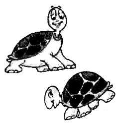 NCERT Solutions for English (Poem): Chapter 9-A Little Turtle
Reading is Fun
Question 2