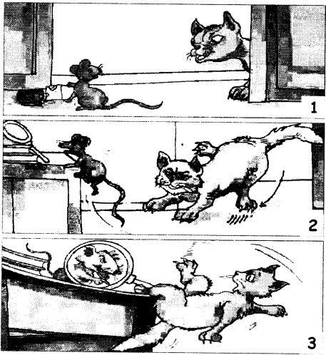 NCERT Solutions for English: Chapter 8-The Tiger and the Mosquito
Let’s Do
Question 3