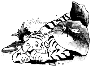 NCERT Solutions for English: Chapter 8-The Tiger and the Mosquito
Let’s Write