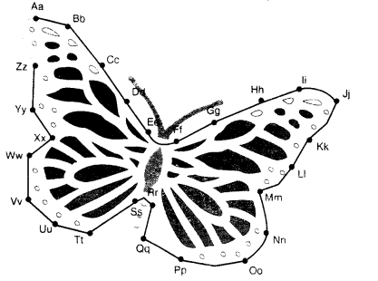 NCERT Solutions for English: Chapter 9-Anandi’s Rainbow
Let’s Do
Question 2