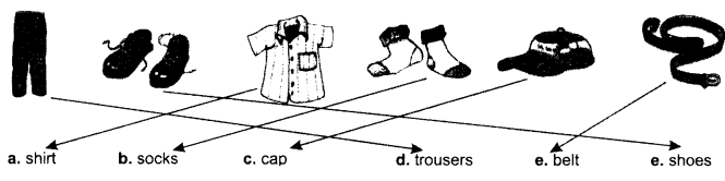 NCERT Solutions for English (Poem): Chapter 2-After a Bath
Let’s Share
Question 2