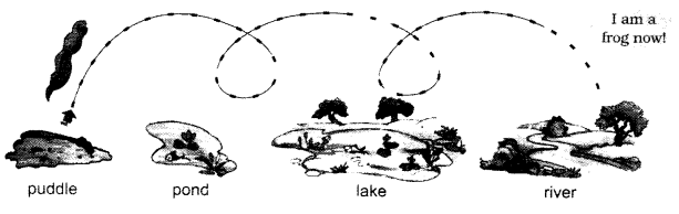 NCERT Solutions for English: Chapter 2-The Bubble, the Straw, and the Shoe
Let’s Draw
Question 1
