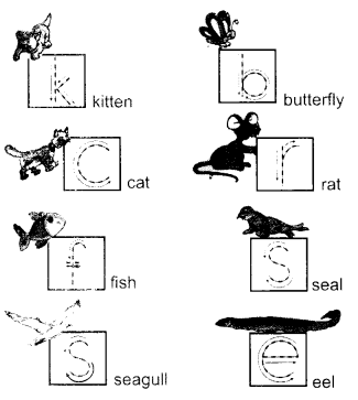 NCERT Solutions for  English (Poem): Chapter 3-One Little Kitten
Let’s Draw
Question 1