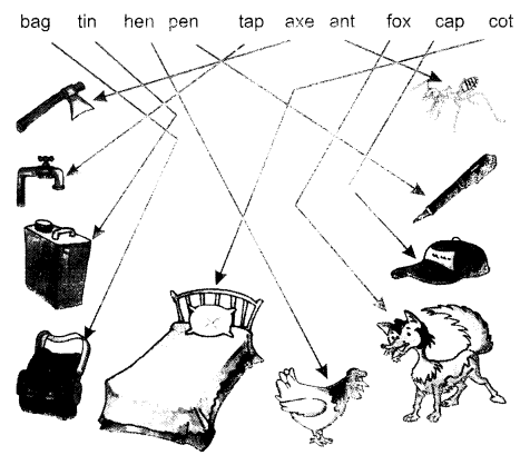 NCERT Solutions for  English (Poem): Chapter 3-One Little Kitten
Look and Read
Question 1