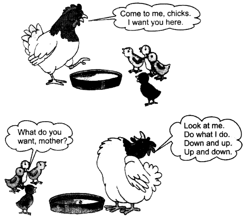 NCERT Solutions for English: Chapter 3-Lalu and Peelu
Let’s Act