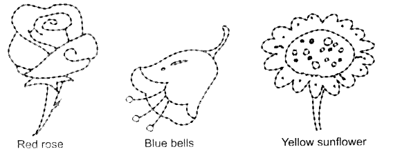 NCERT Solutions for English: Chapter 3-Lalu and Peelu
Let’s Draw
Question 1
