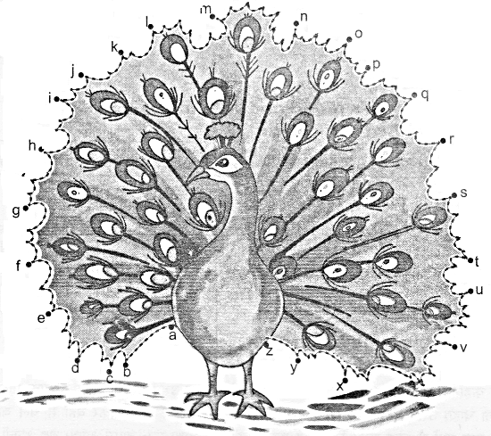 NCERT Solutions for English (Poem): Chapter 4-Once I Saw a Little Bird
Let’s Do
Question 1