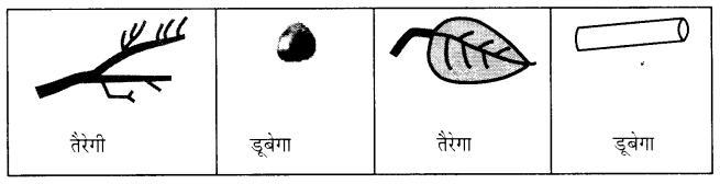 NCERT Solutions for  Hindi: Chapter 15-मैं भी…
प्रश्न 2.
