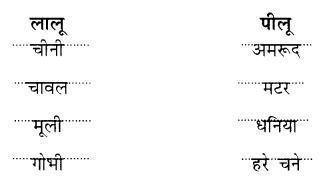 NCERT Solutions for Hindi: Chapter 16-लालू और पीलू
प्रश्न 2.  