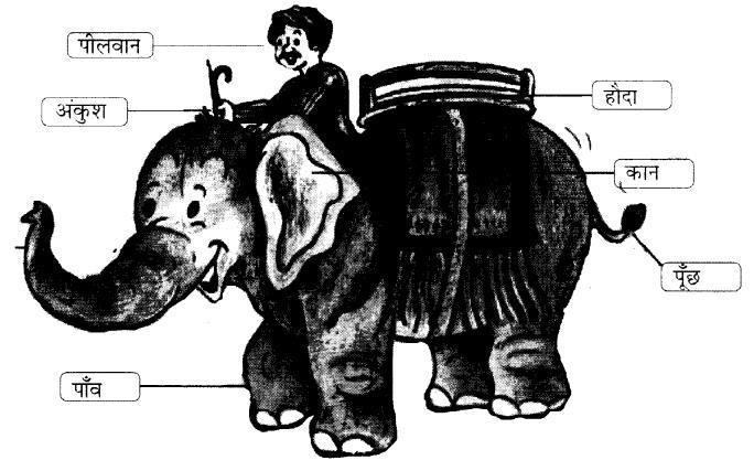 NCERT Solutions for Hindi: Chapter 22-हाथी चल्लम चल्लम
प्रश्न-अभ्यास