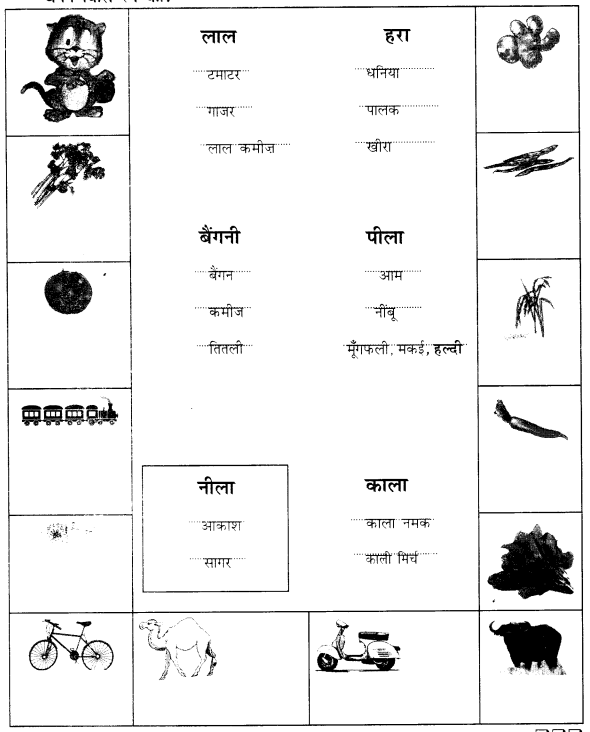 NCERT Solutions for  Hindi: Chapter 4-पत्ते ही पत्ते
प्रश्न 2.