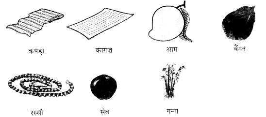 NCERT Solutions for Hindi: Chapter 7-रसोईघर
प्रश्न 3
