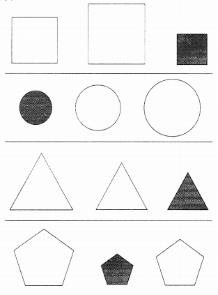 NCERT Solutions for  Maths: Chapter 1-Shapes and Space
Question 3