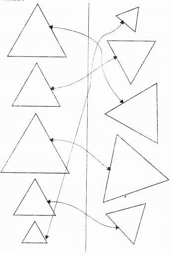 NCERT Solutions for Maths: Chapter 1-Shapes and Space
Question 1