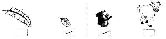 NCERT Solutions for Maths: Chapter 1-Shapes and Space
Question 2