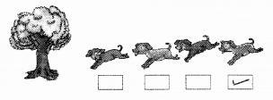 NCERT Solutions for Maths: Chapter 1-Shapes and Space
Question 1