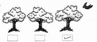 NCERT Solutions for  Maths: Chapter 1-Shapes and Space
Question 2