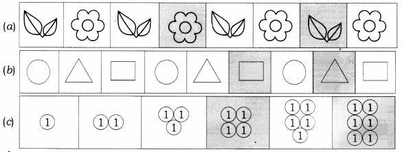 NCERT Solutions for Maths: Chapter 10-Patterns
Question 3