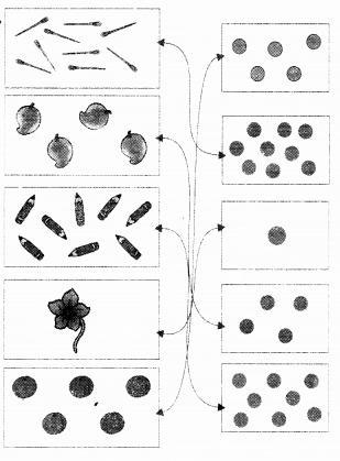 NCERT Solutions for Maths: Chapter 2-Numbers from One to Nine
Question 1